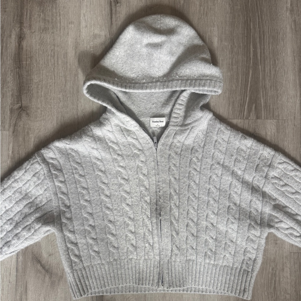Aritzia Octavia Zip Hoodie
